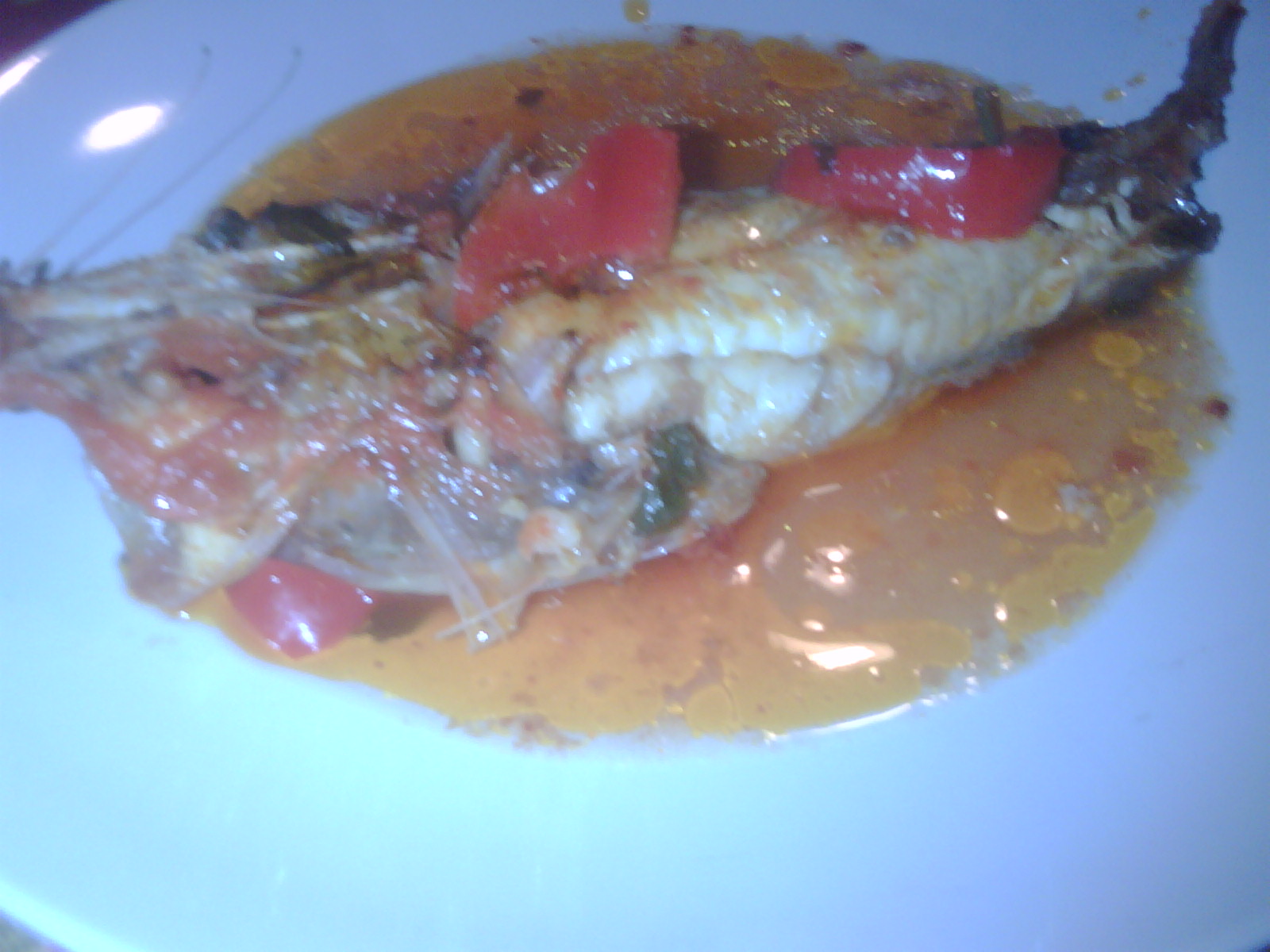 polpette pesce
